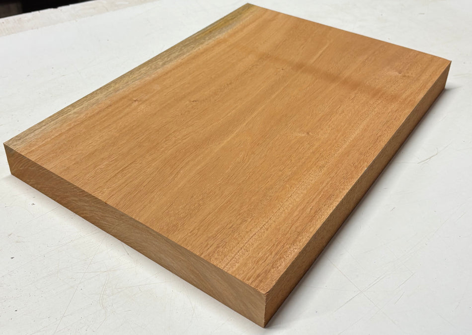 Mahogany Guitar Body Blank - 21" x 15" x 1-7/8" (Single Piece) #609
