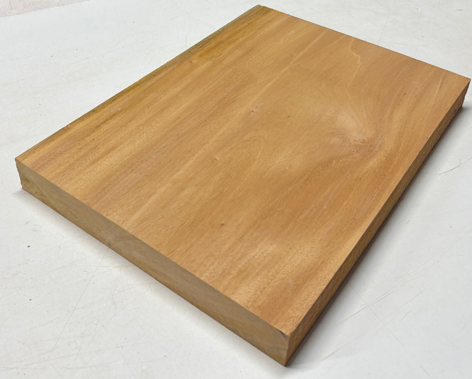 Mahogany Guitar Body Blank - 20" x 14-7/8" x 1-7/8" (Single Piece) #611