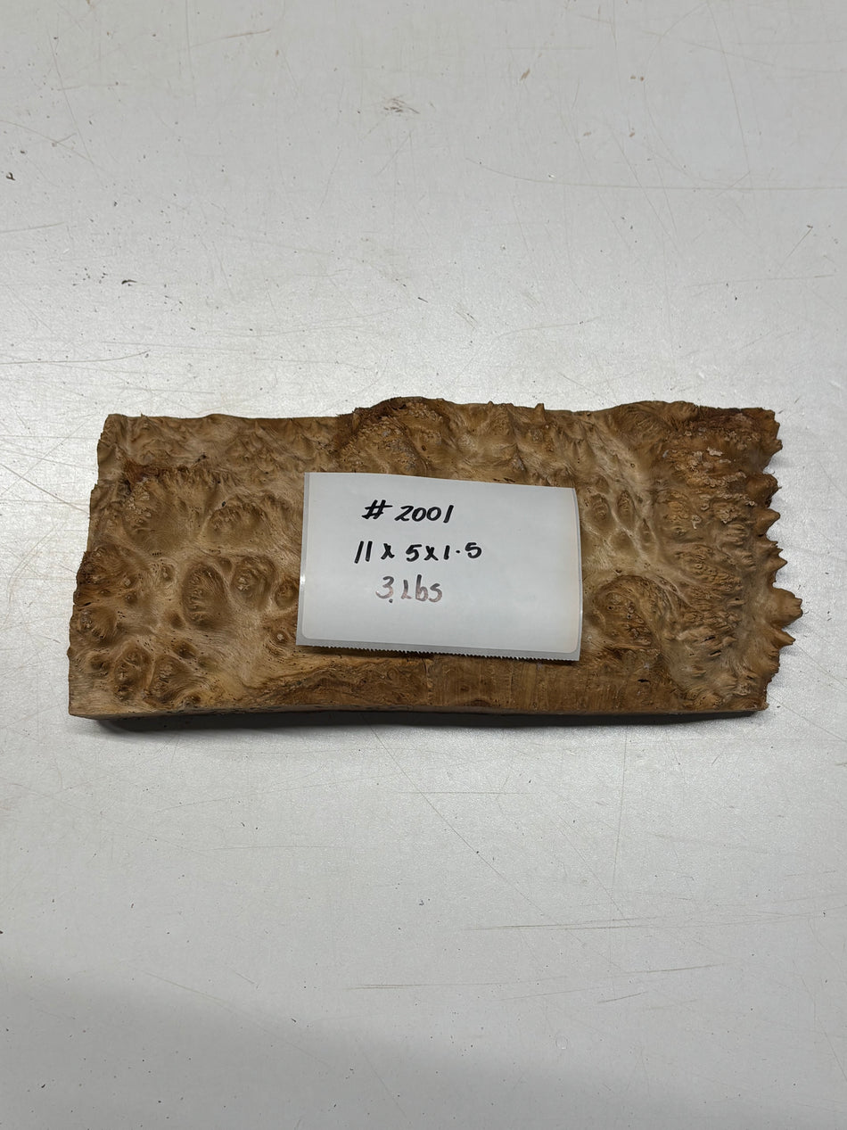 Australian Red Mallee Burl Cap 11" x 5" x 1.5" #2001 - Exotic Wood Zone
