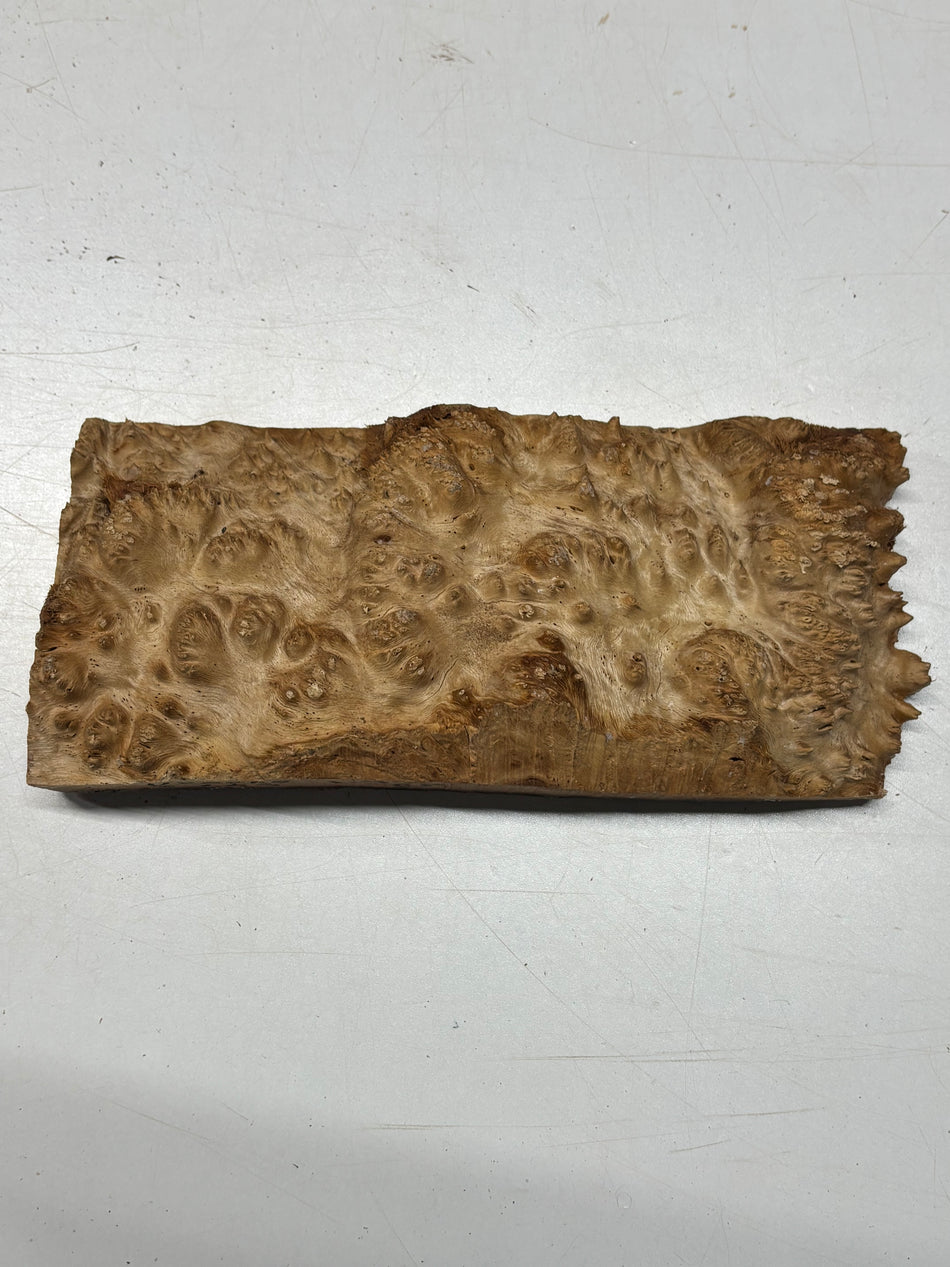 Australian Red Mallee Burl Cap 11" x 5" x 1.5" #2001 - Exotic Wood Zone