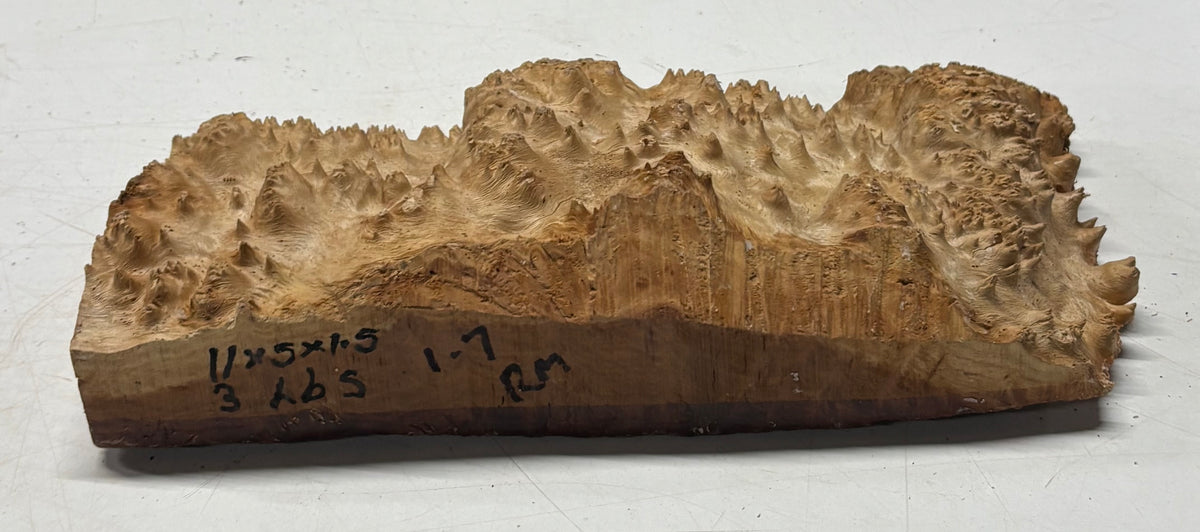 Australian Red Mallee Burl Cap 11" x 5" x 1.5" #2001 - Exotic Wood Zone