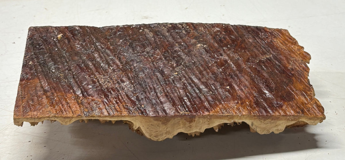 Australian Red Mallee Burl Cap 11" x 5" x 1.5" #2001 - Exotic Wood Zone