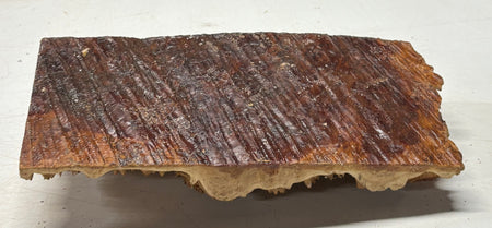 Australian Red Mallee Burl Cap 11" x 5" x 1.5" #2001 - Exotic Wood Zone