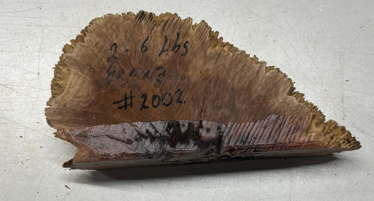 Australian Red Mallee Burl Cap 8" x 4" x 3" #2002 - Exotic Wood Zone