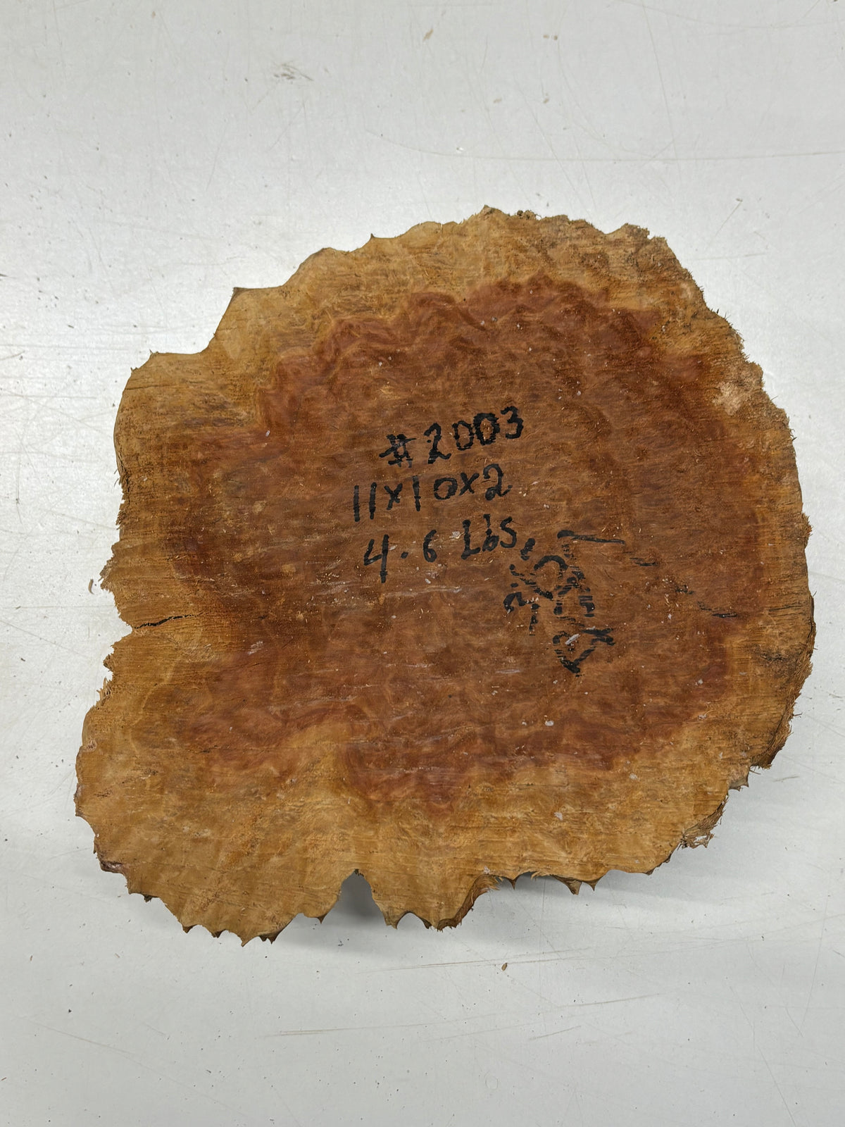 Australian Red Mallee Burl Cap 11" x 10" x 2" #2003 - Exotic Wood Zone