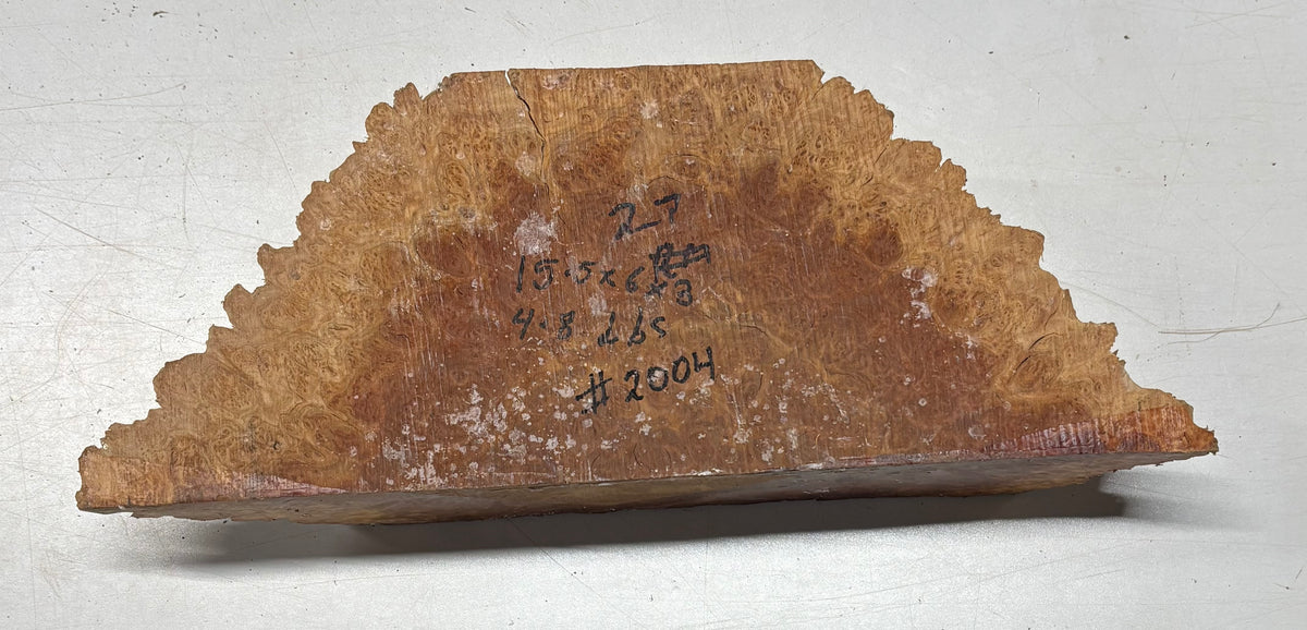 Australian Red Mallee Burl Cap 15.5" x 6" x 3" #2004 - Exotic Wood Zone
