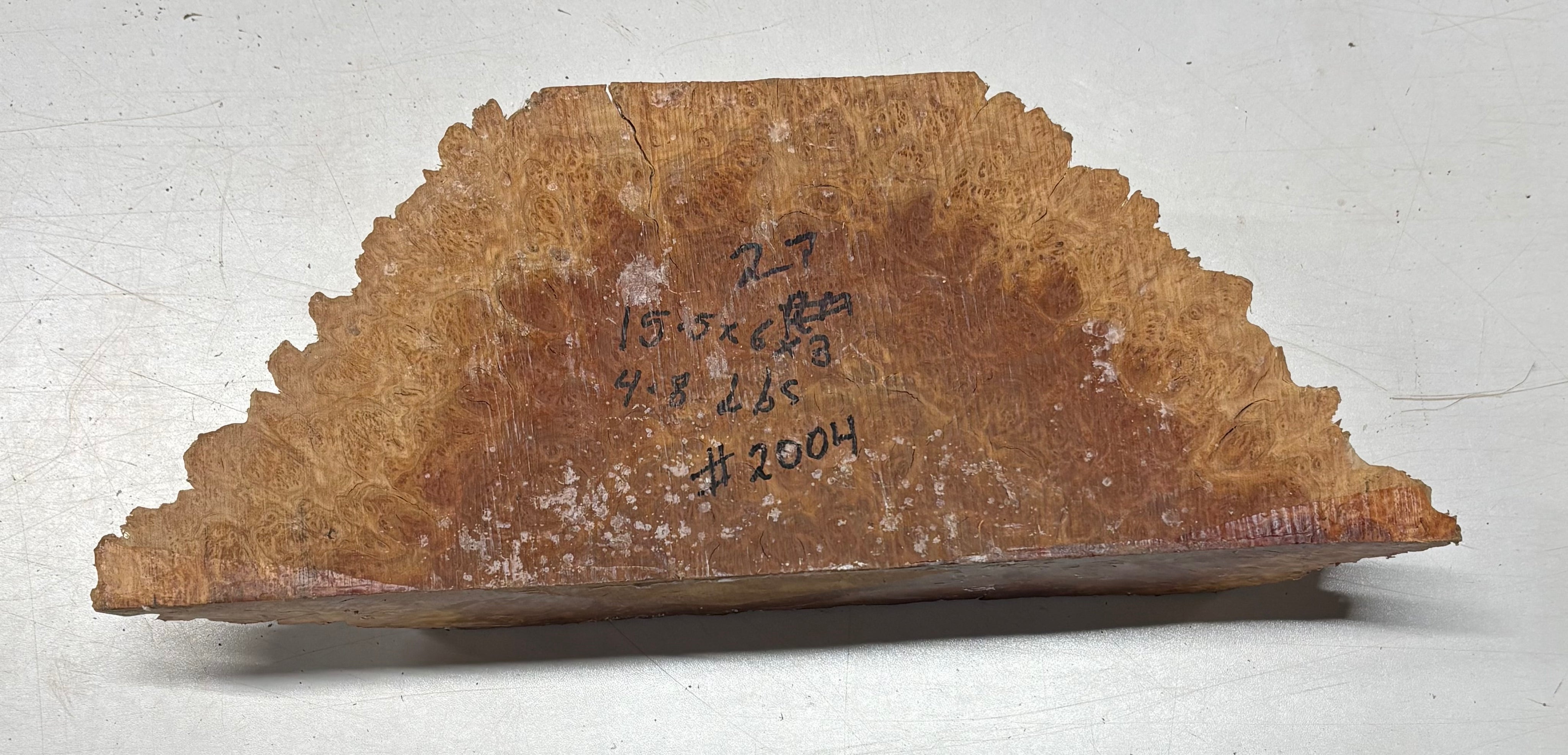 Australian Red Mallee Burl Cap 15.5" x 6" x 3" #2004 - Exotic Wood Zone