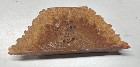 Australian Red Mallee Burl Cap 15.5" x 6" x 3" #2004 - Exotic Wood Zone