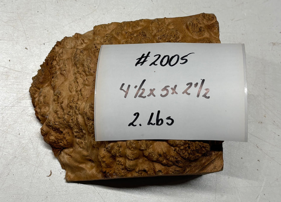 Australian Red Mallee Burl Cap 4.5" x 5" x 2.5" #2005 - Exotic Wood Zone