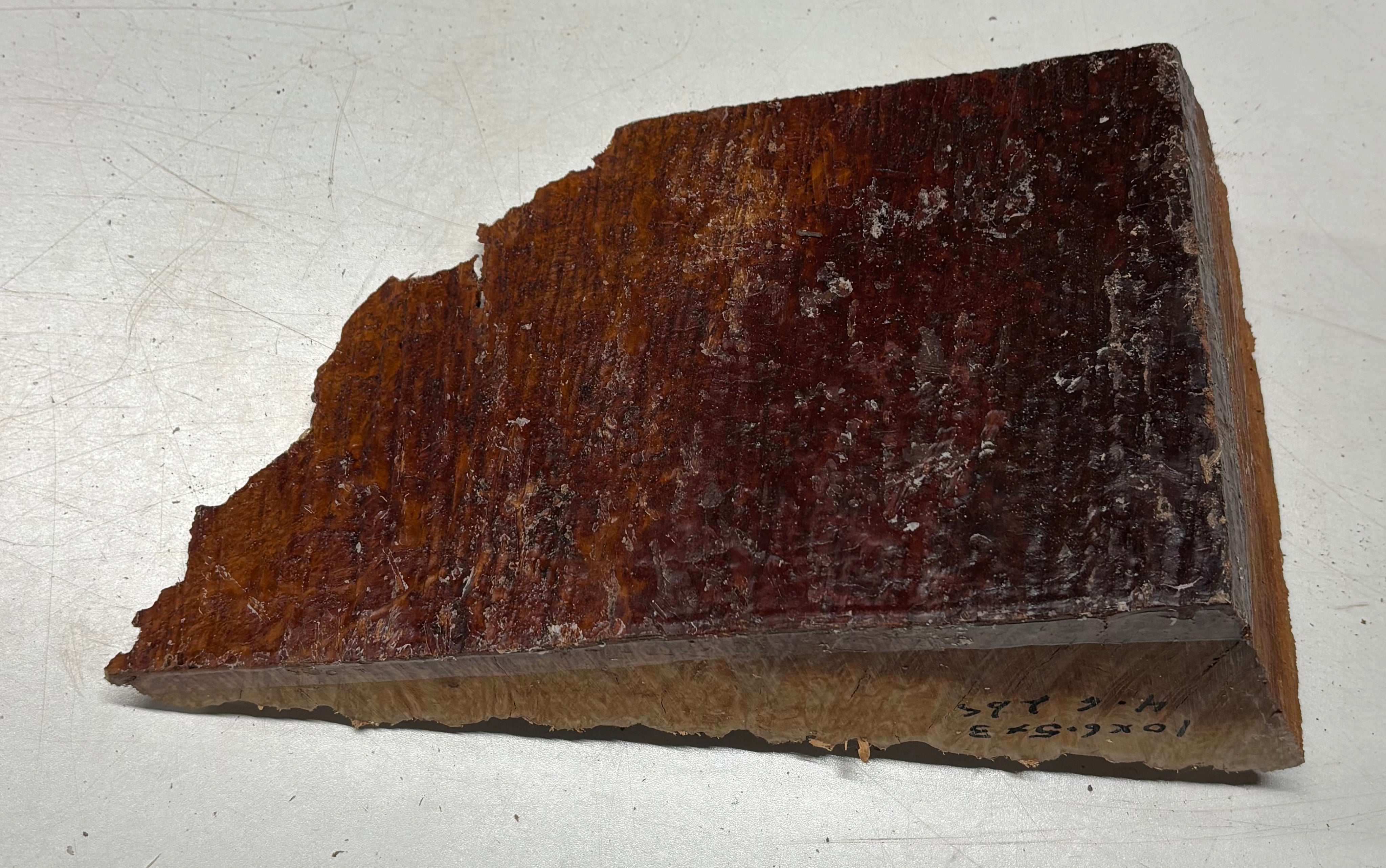 Australian Red Mallee Burl Cap 10" x 6.5" x 3" #2006 - Exotic Wood Zone