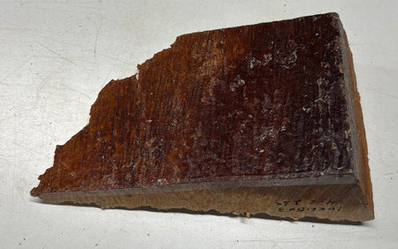 Australian Red Mallee Burl Cap 10" x 6.5" x 3" #2006 - Exotic Wood Zone