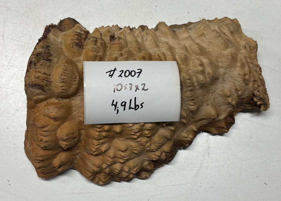 Australian Red Mallee Burl Cap 10" x 7" x 2" #2007 - Exotic Wood Zone