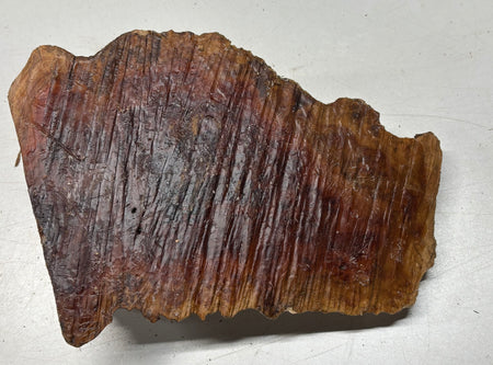 Australian Red Mallee Burl Cap 10" x 7" x 2" #2007 - Exotic Wood Zone