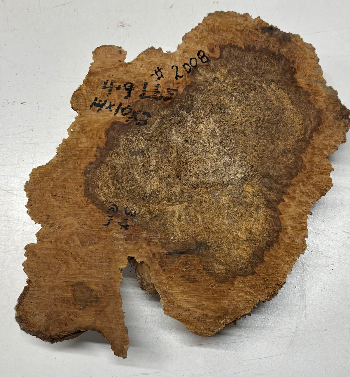Australian Red Mallee Burl Cap 14" x 10" x 3" #2008 - Exotic Wood Zone