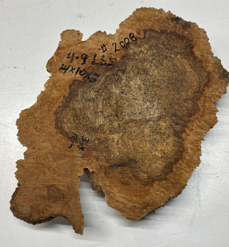 Australian Red Mallee Burl Cap 14" x 10" x 3" #2008 - Exotic Wood Zone