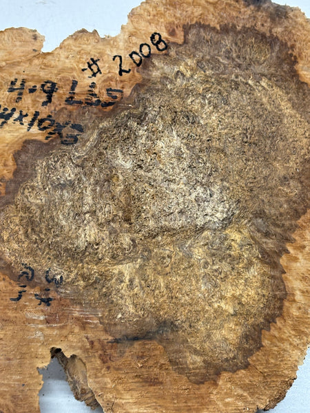 Australian Red Mallee Burl Cap 14" x 10" x 3" #2008 - Exotic Wood Zone