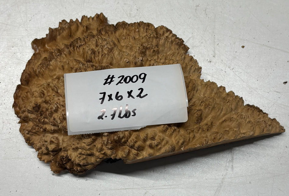 Australian Red Mallee Burl Cap 7" x 6" x 2" #2009 - Exotic Wood Zone