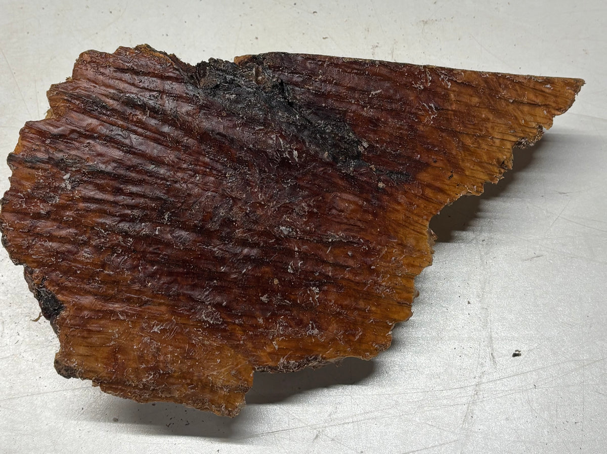 Australian Red Mallee Burl Cap 7" x 6" x 2" #2009 - Exotic Wood Zone