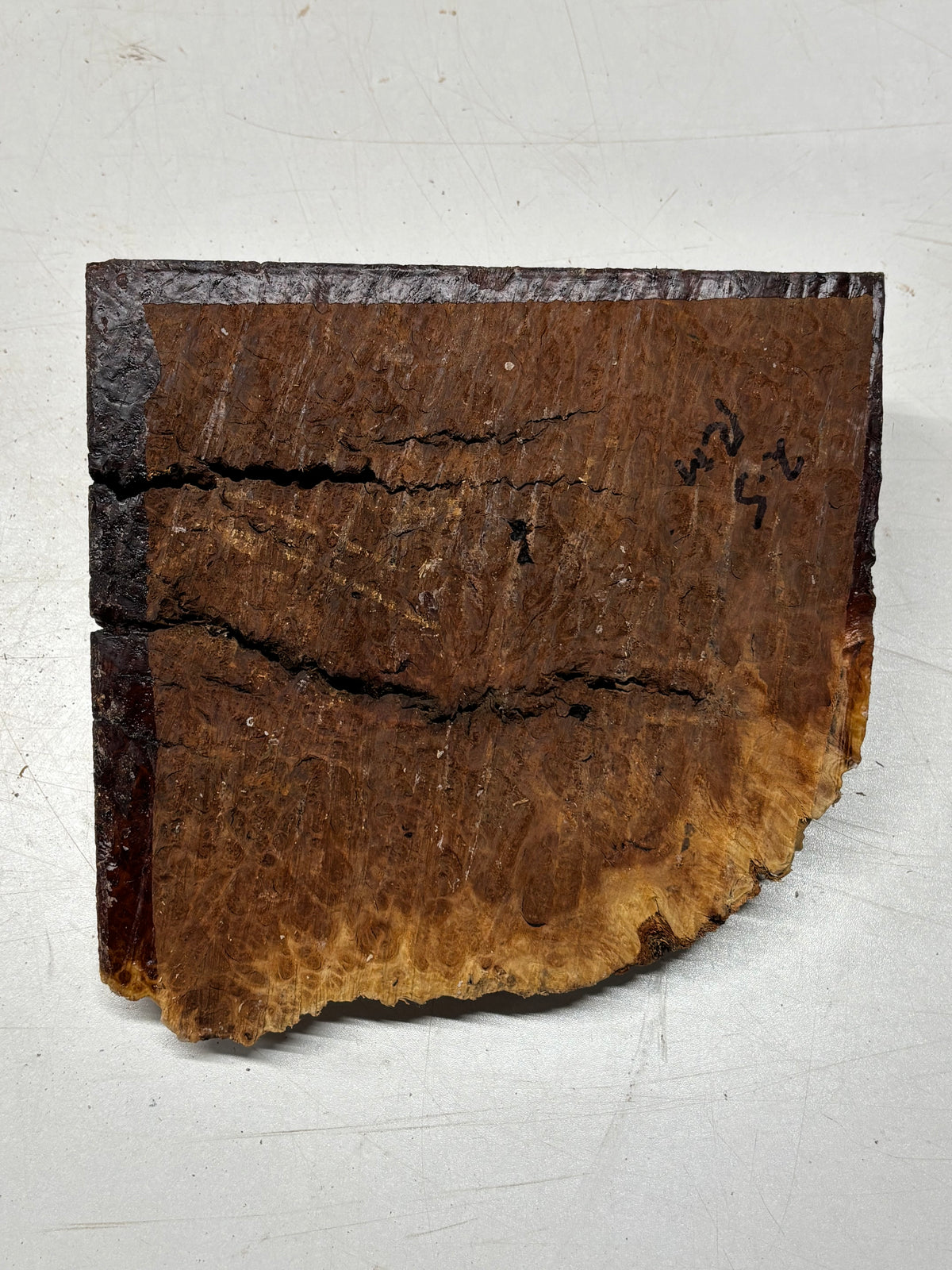 Australian Red Mallee Burl Cap 7" x 8" x 1-1/2" #2011 - Exotic Wood Zone