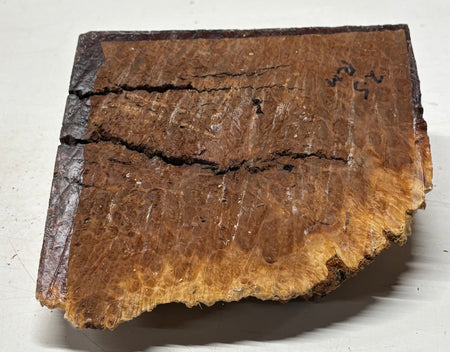 Australian Red Mallee Burl Cap 7" x 8" x 1-1/2" #2011 - Exotic Wood Zone