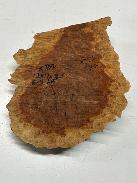Australian Red Mallee Burl Cap 12" x 11" x 3" #2012 - Exotic Wood Zone