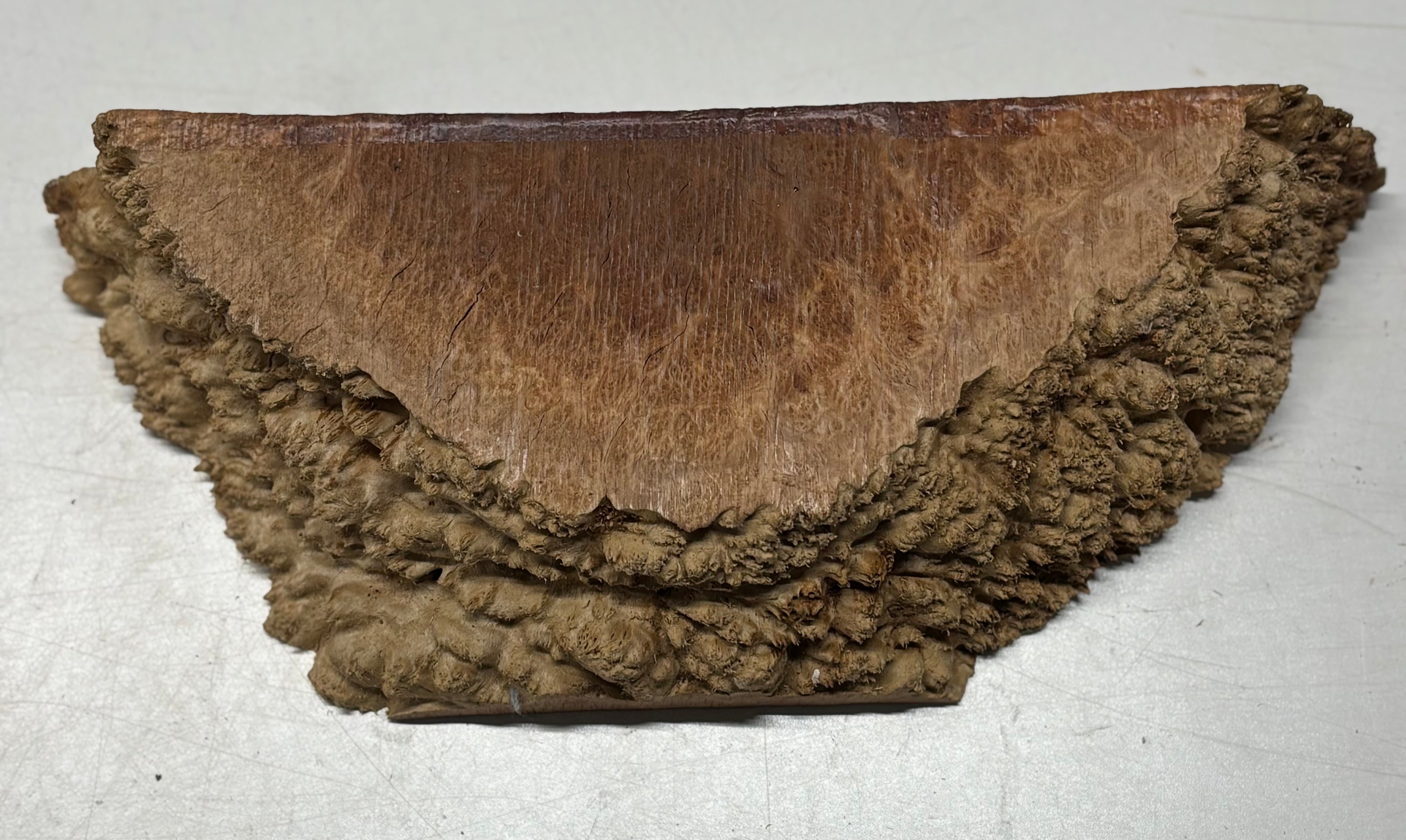 Australian Red Mallee Burl Cap 13" x 6" x 3" #2014 - Exotic Wood Zone