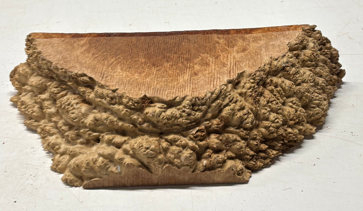 Australian Red Mallee Burl Cap 13" x 6" x 3" #2014 - Exotic Wood Zone