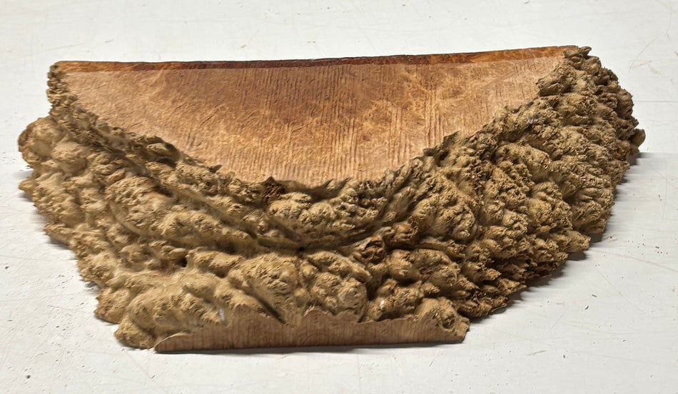 Australian Red Mallee Burl Cap 13" x 6" x 3" #2014