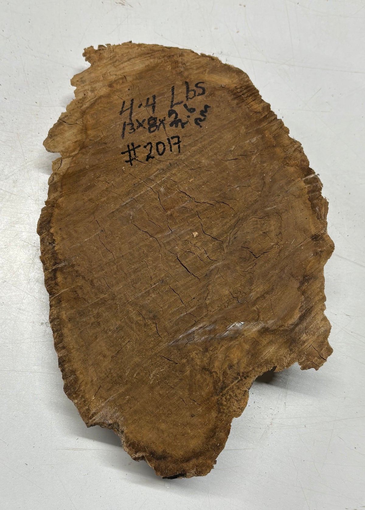 Australian Red Mallee Burl Cap 13" x 8" x 2" #2017 - Exotic Wood Zone