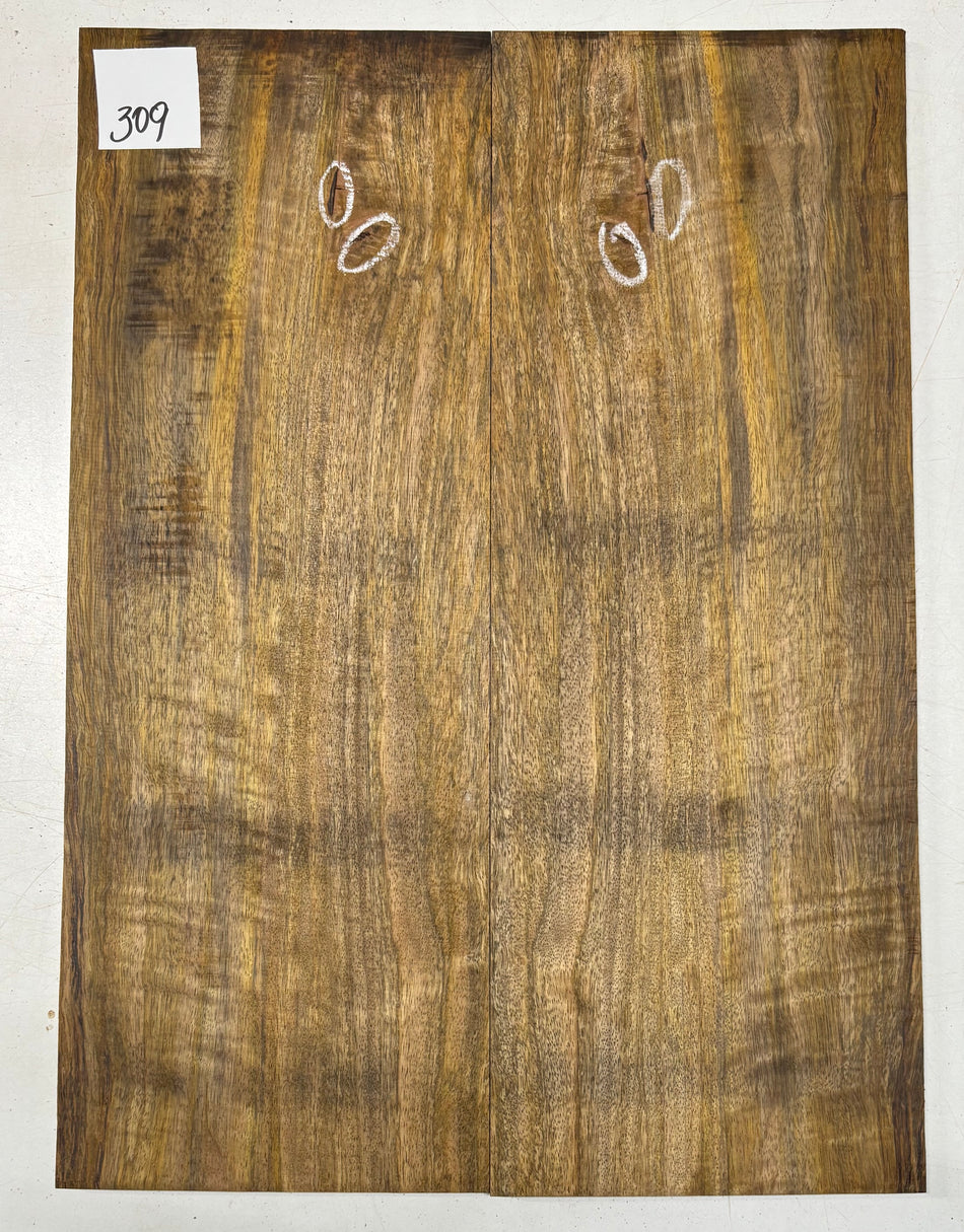 Tapas colgantes para guitarra Spalted de haya europea, a juego con libros, 21 "x 7" x 1/4"