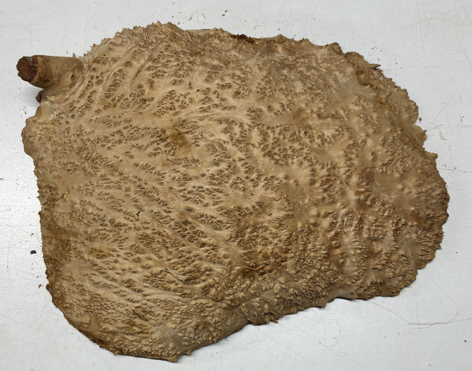 Gorra de nudo checheno 14"x11"x7" 17.00 lbs | #557