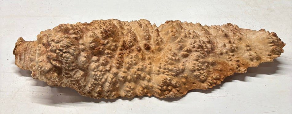 Tazón rojo Coolibah Burl 6" x 6" x 3" 2.2 lbs #234
