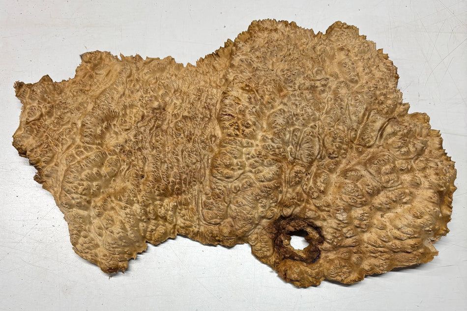 Tazón rojo Coolibah Burl 6" x 6" x 3" 2.2 lbs #231