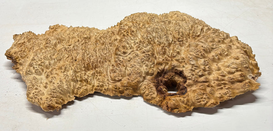 Tazón rojo Coolibah Burl 6" x 6" x 3" 2.2 lbs #231