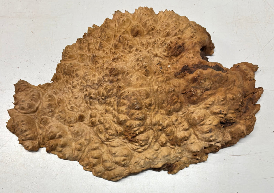 Tazón rojo Coolibah Burl 6" x 6" x 3" 2.5 lbs #227
