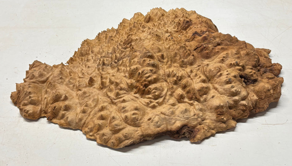 Tazón rojo Coolibah Burl 6" x 6" x 3" 2.5 lbs #227