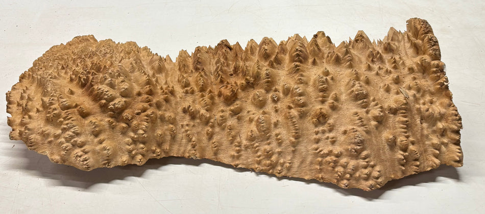 Tazón rojo Coolibah Burl 6" x 6" x 3" 2.1 lbs #221