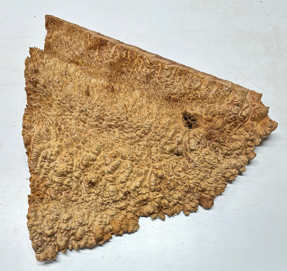 Tazón rojo Coolibah Burl 6" x 6" x 3" 2.6 lbs #219