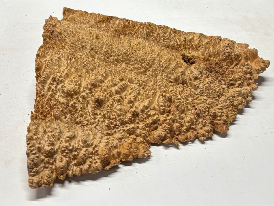 Tazón rojo Coolibah Burl 6" x 6" x 3" 2.6 lbs #219