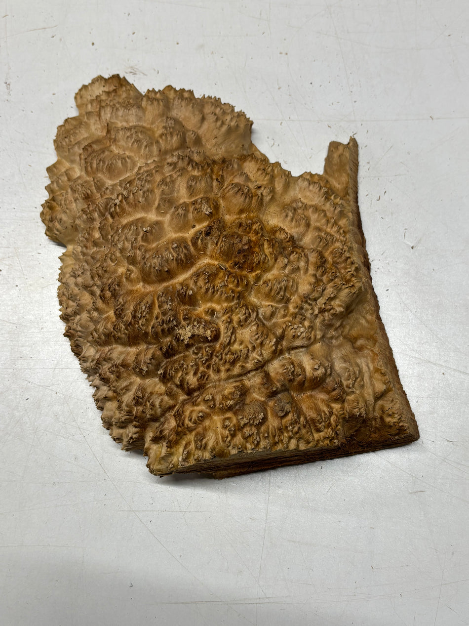 Cuenco rojo Coolibah Burl 6" x 6" x 3" #217