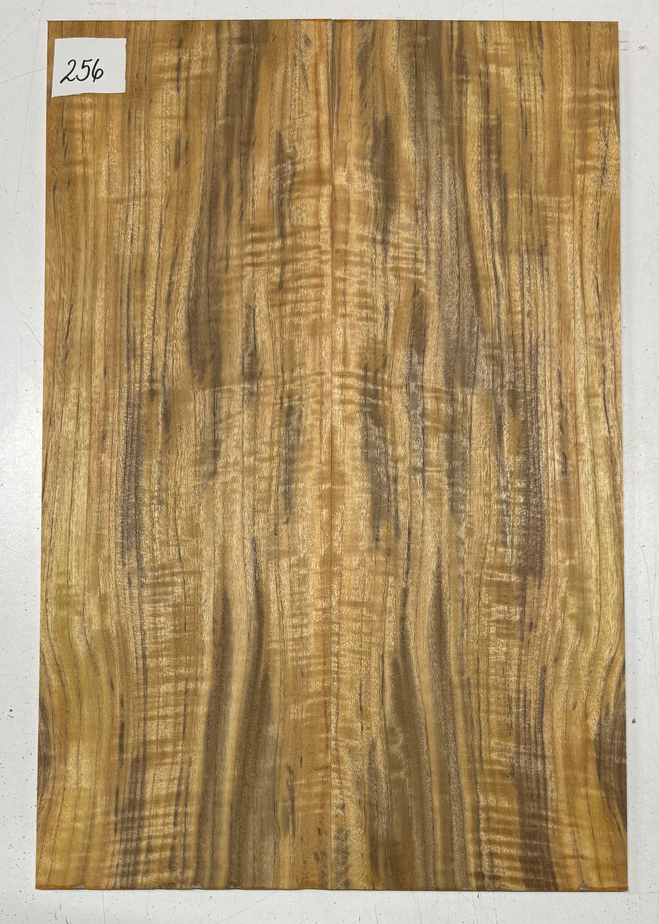 Tapa abatible para guitarra bariole de palisandro indio | Conjunto de libros combinados n.° 24