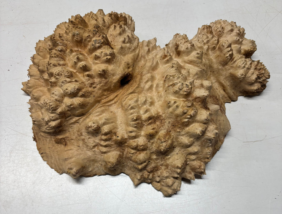 Tazón rojo Coolibah Burl 6" x 6" x 3" - 2 lbs #208