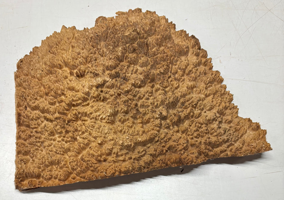 Tazón rojo Coolibah Burl 6" x 6" x 3" - 2.2 lbs #205
