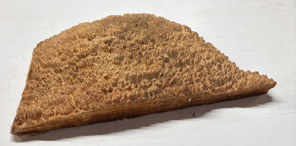 Tazón rojo Coolibah Burl 6" x 6" x 3" - 2.2 lbs #205