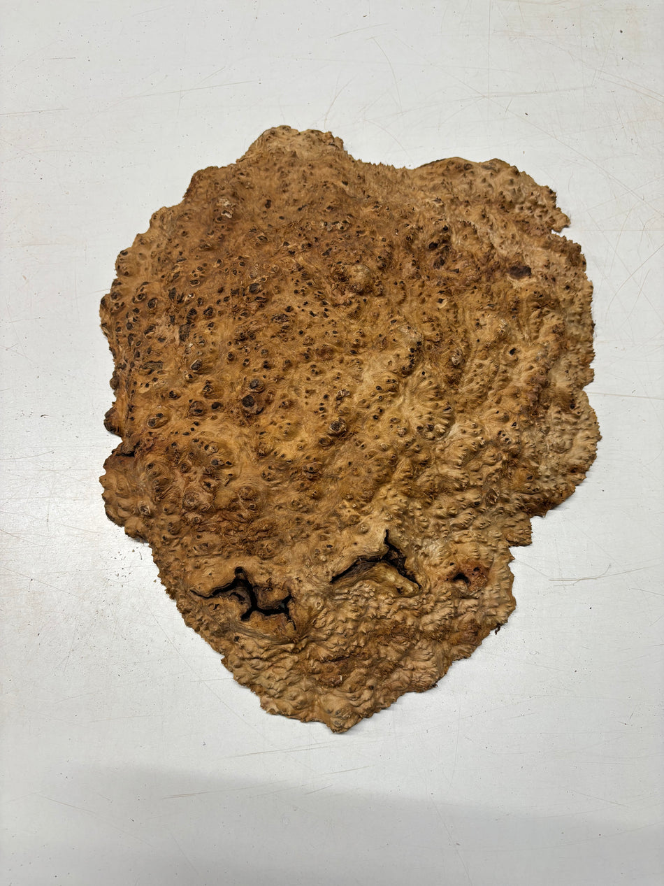 Tazón rojo Coolibah Burl 6" x 6" x 3" - 1.9 lbs #204