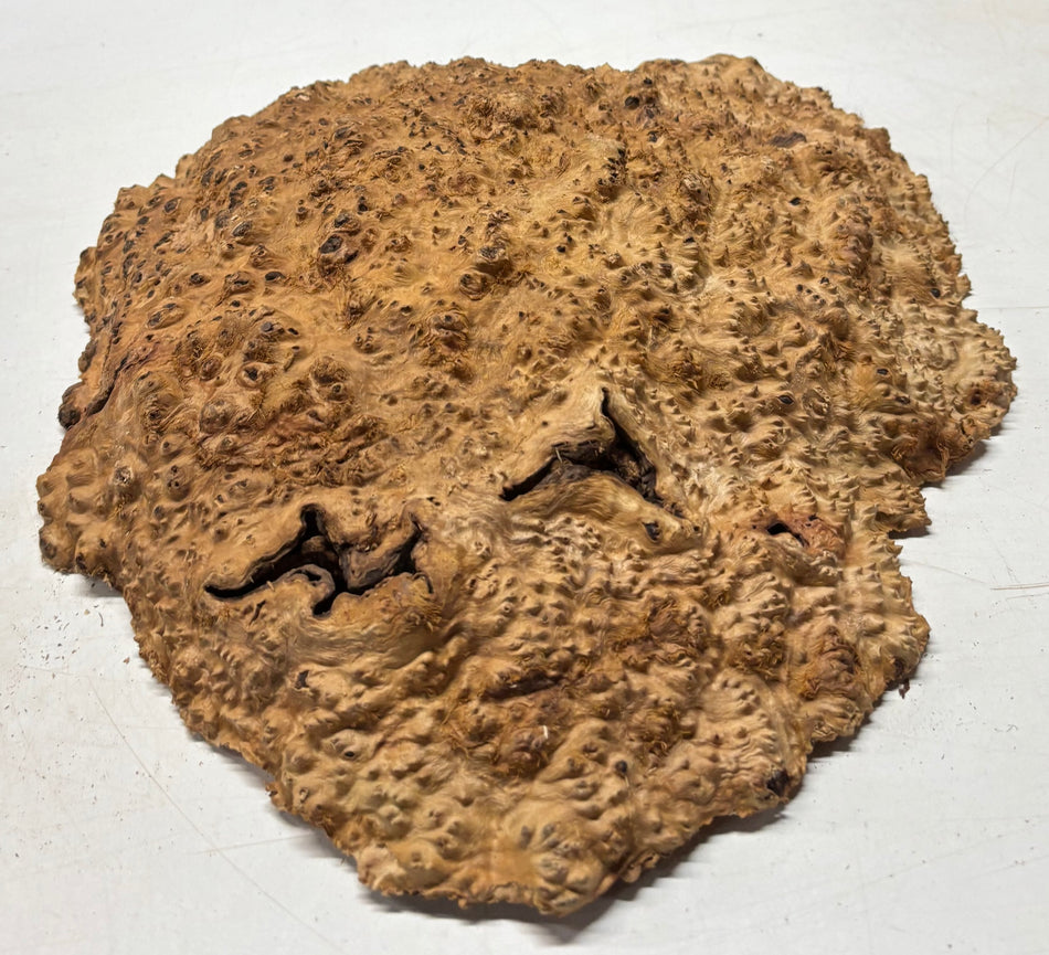 Tazón rojo Coolibah Burl 6" x 6" x 3" - 1.9 lbs #204