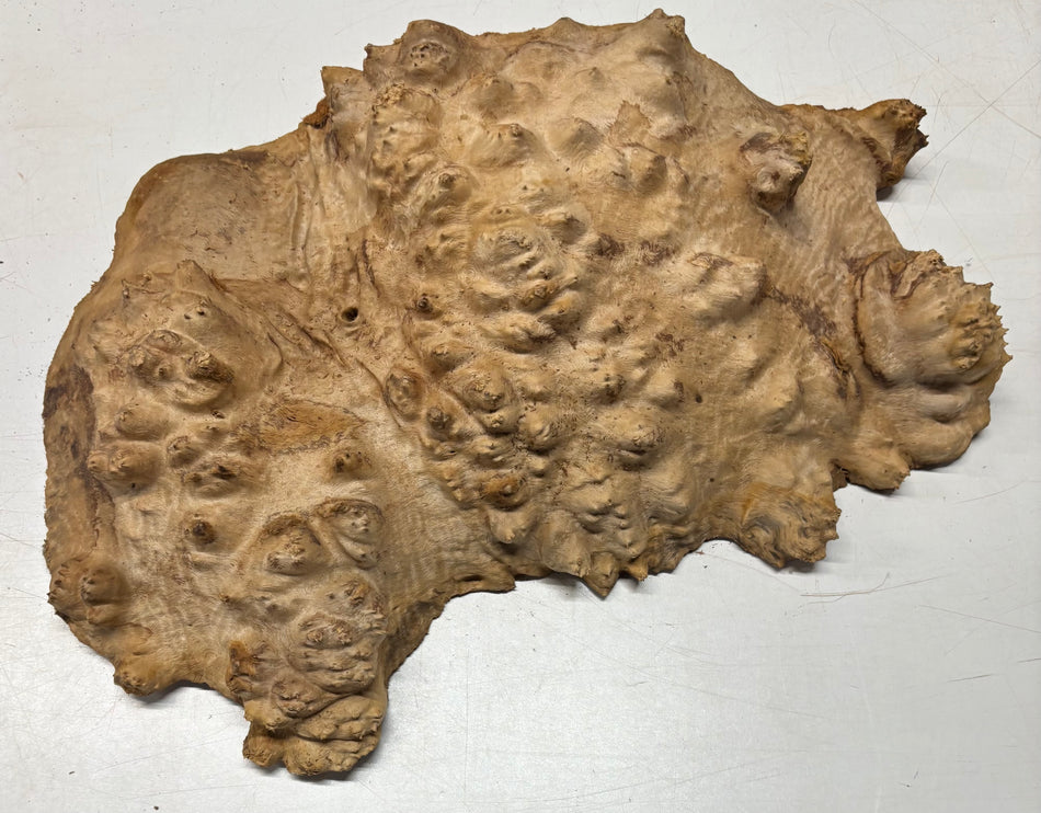 Tazón rojo Coolibah Burl 6" x 6" x 3" - 2.4 lbs #203