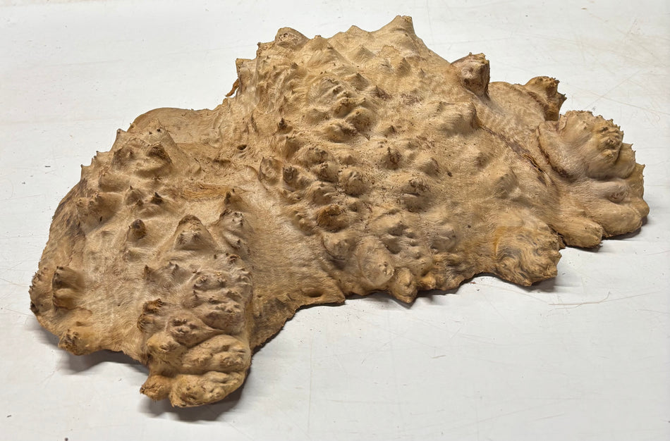 Tazón rojo Coolibah Burl 6" x 6" x 3" - 2.4 lbs #203
