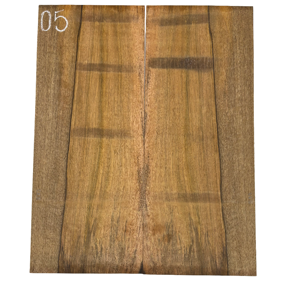 Chocolate Mango Dreadnought Guitar Back Set #05