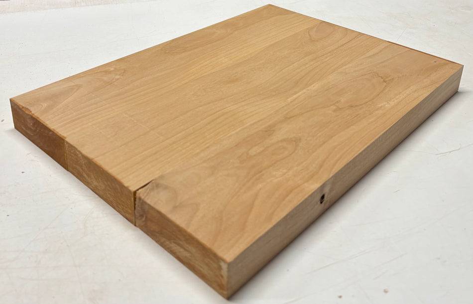 Alder Guitar Body Blank - 21" x 15" x 1-3/4", 10 Lbs (3 Pcs Glued) #501